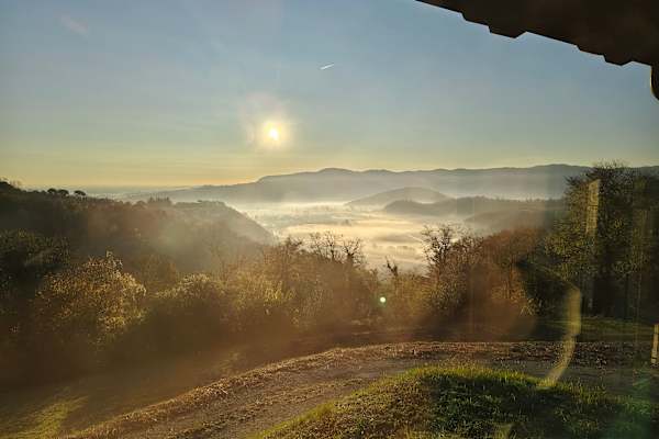 House sit in Vicenza, Italy