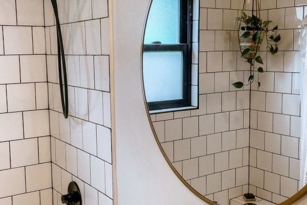 House sit in Bellingham, WA, US