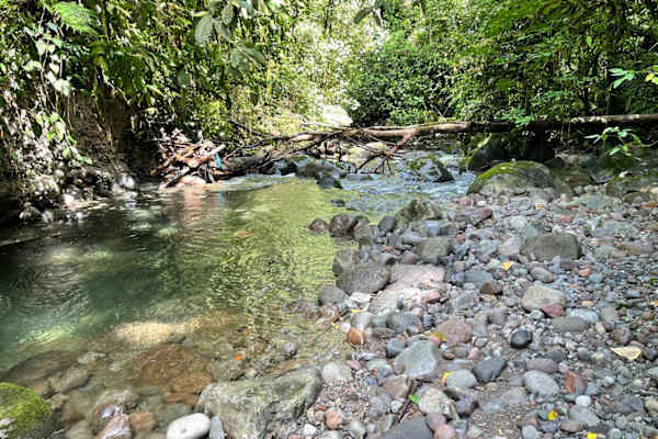 House sit in Volcán, Panama