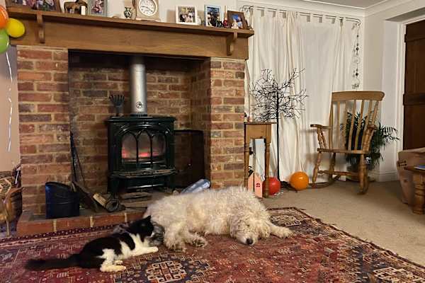 House sit in Crowborough, United Kingdom