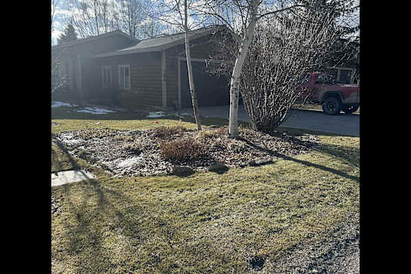 House sit in Jackson, WY, US