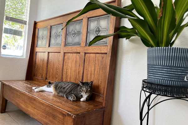 House sit in Fort Lauderdale, FL, US