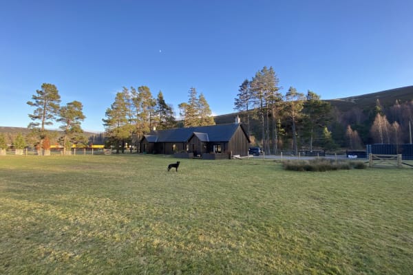 House sit in Ballater, United Kingdom