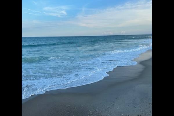 House sit in Wrightsville Beach, NC, US