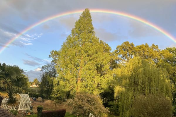 House sit in Edenbridge, United Kingdom