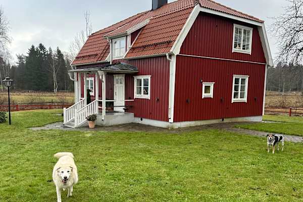House sit in Grisslehamn, Sweden