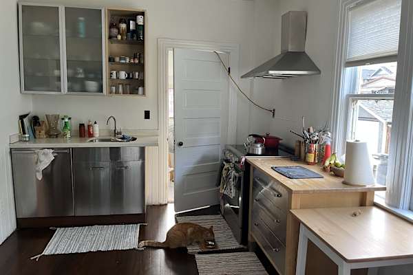 House sit in Vancouver, BC, Canada