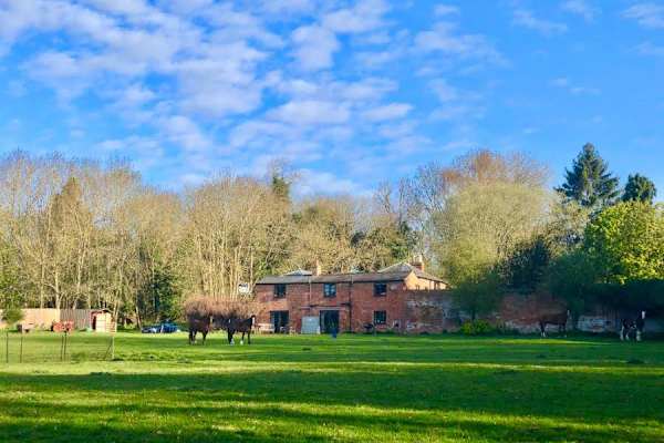 House sit in Stratford-upon-Avon, United Kingdom