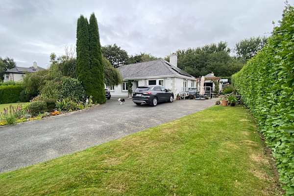 House sit in Enniscorthy, Ireland