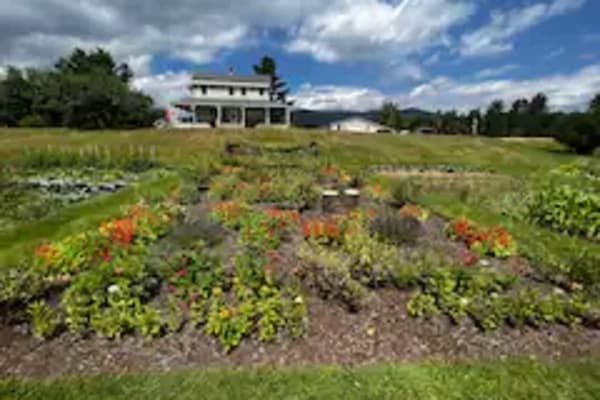 House sit in Whitefield, NH, US