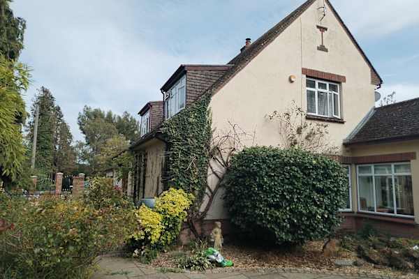 House sit in King's Lynn, United Kingdom