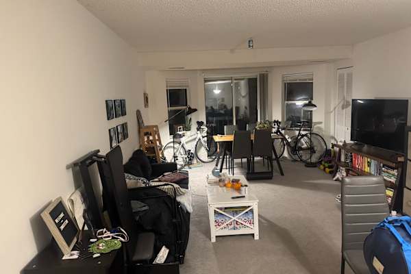 House sit in Somerville, MA, US