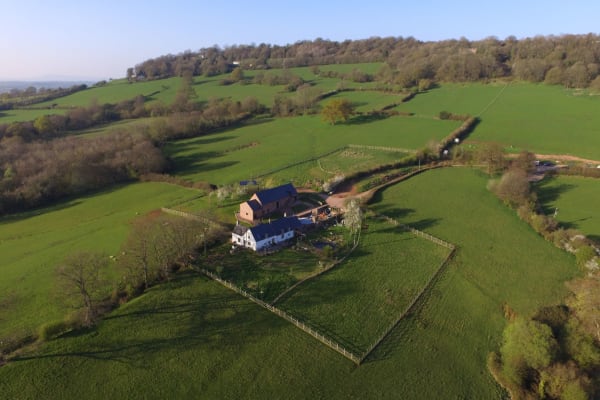 House sit in Chepstow, United Kingdom