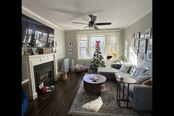 House sit in Boston, MA, US