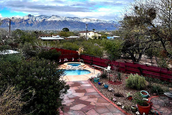 House sit in Tucson, AZ, US