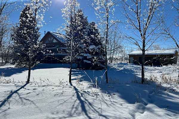 House sit in Bozeman, MT, US