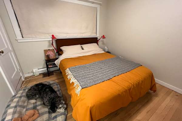 House sit in Los Alamos, NM, US