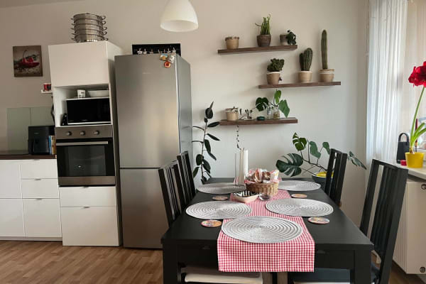 House sit in Berlin, Germany