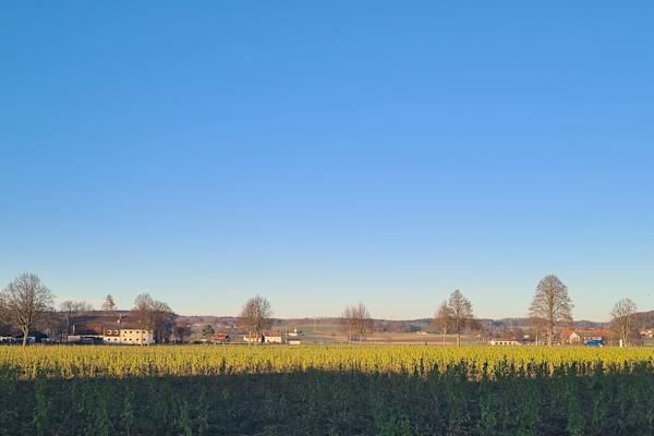 House sit in Steinhöring, Germany