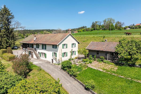 House sit in Palézieux, Switzerland