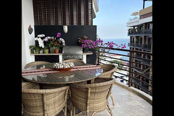 House sit in Puerto Vallarta, Mexico