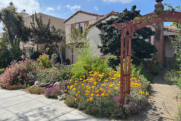 House sit in Alameda, CA, US