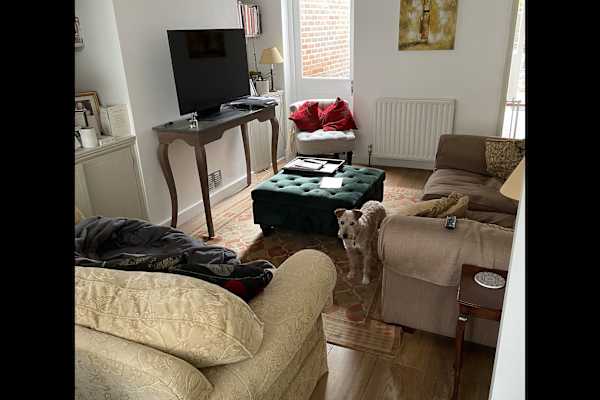 House sit in Lewes, United Kingdom