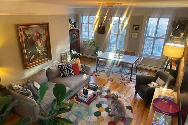 House sit in Brooklyn, NY, US