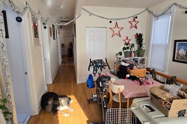 House sit in Chicago, IL, US