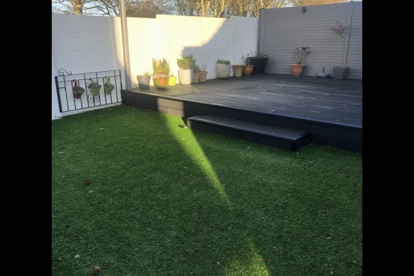 House sit in Dundee, United Kingdom