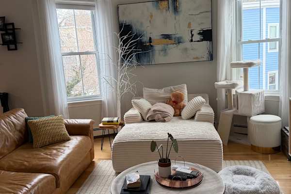 House sit in Boston, MA, US