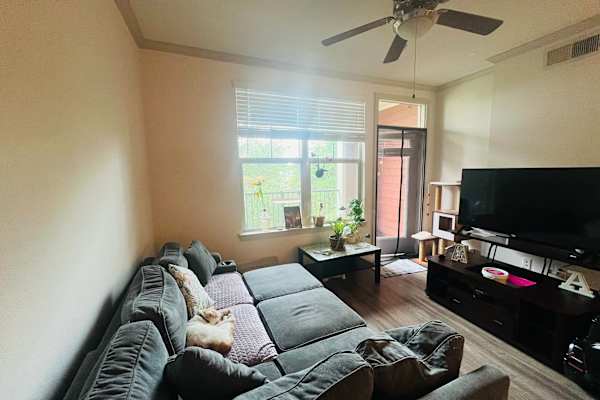 House sit in Houston, TX, US