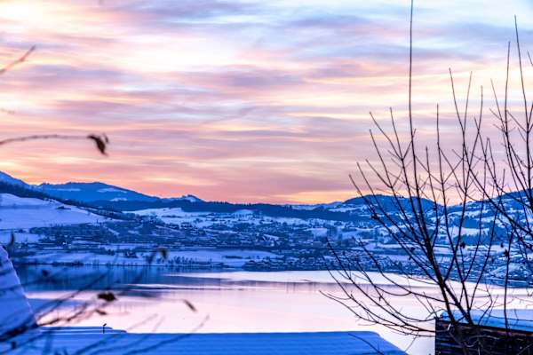 House sit in Zug, Switzerland