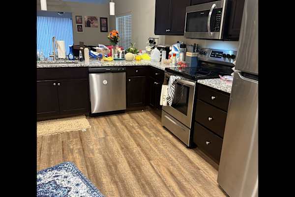 House sit in Medina, OH, US