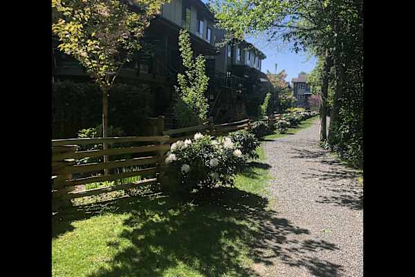 House sit in Squamish, BC, Canada