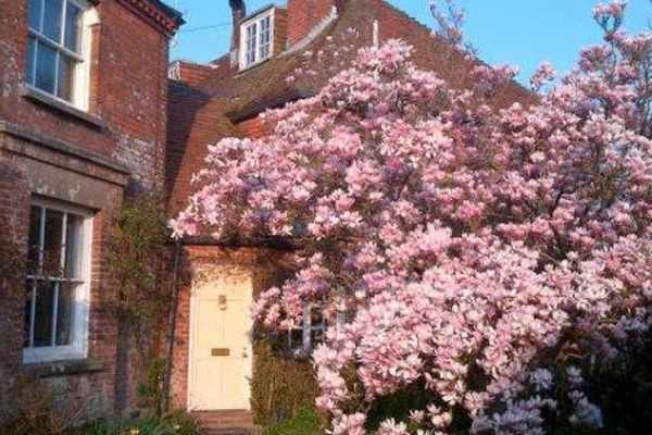 House sit in Lymington, United Kingdom