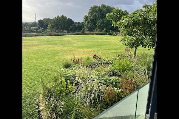 House sit in Paarl, South Africa