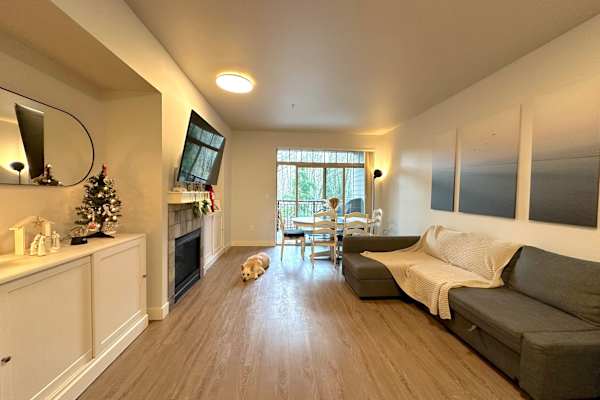 House sit in Bothell, WA, US