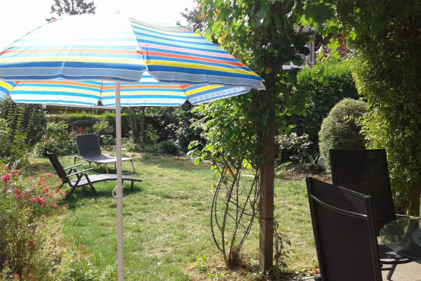 House sit in Brussels, Belgium