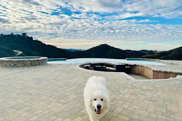 House sit in Temecula, CA, US