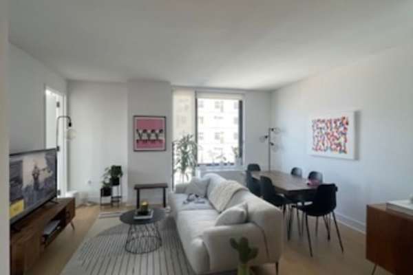 House sit in Prospect Heights, NY, US