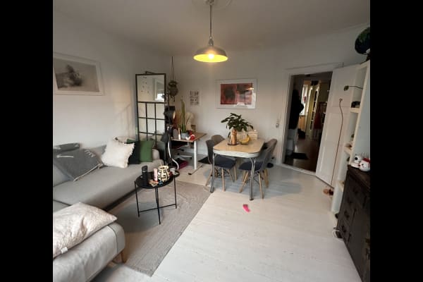 House sit in Copenhagen, Denmark