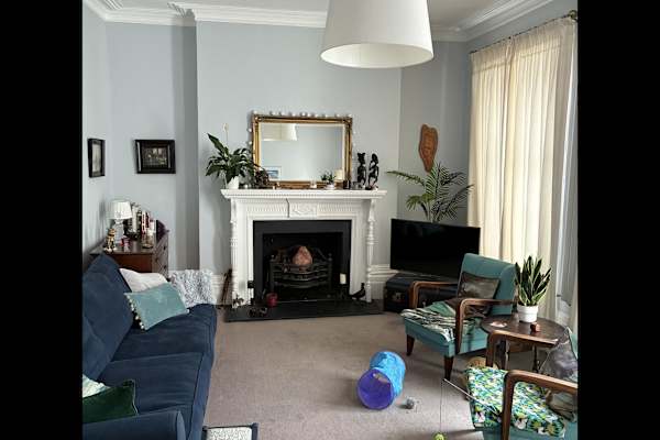 House sit in Brighton, United Kingdom