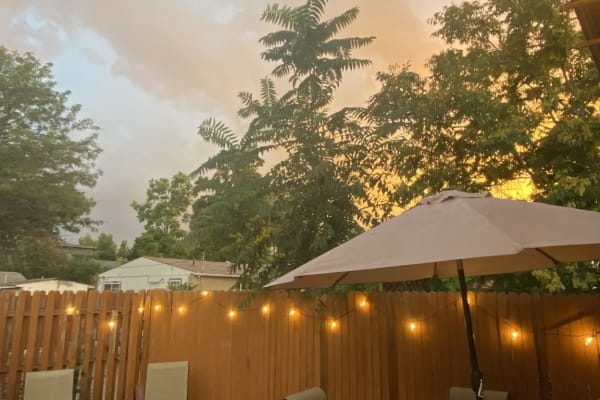 House sit in Denver, CO, US
