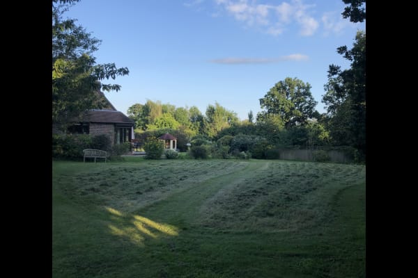 House sit in Brockenhurst, United Kingdom