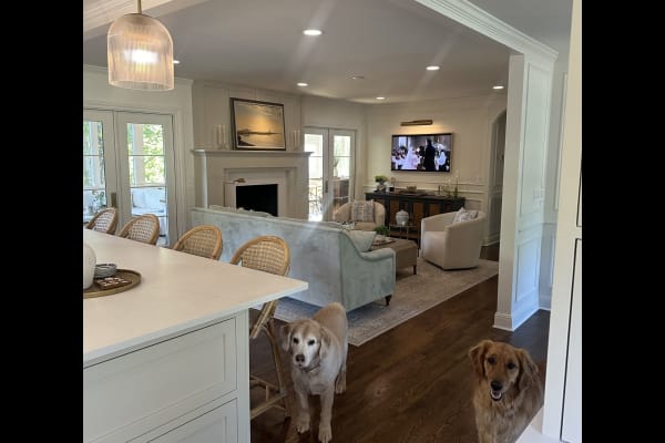 House sit in Franklin, TN, US