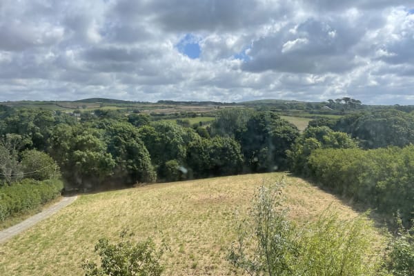 House sit in Penzance, United Kingdom