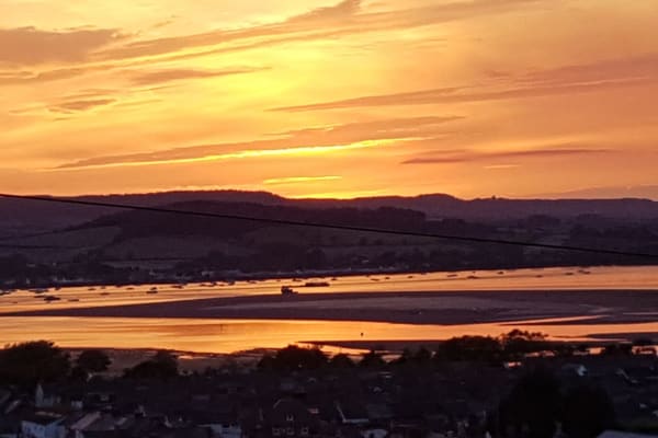 House sit in Exeter, United Kingdom