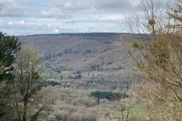 House sit in Saint Briavels, United Kingdom