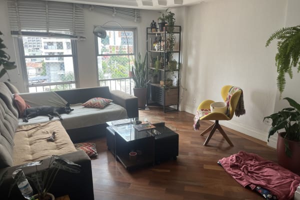 House sit in São Paulo, Brazil